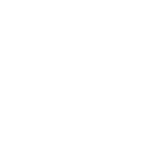 Angelica Stella