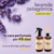 Kit Lavanda patagónica
