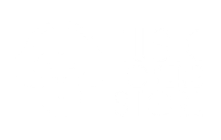 Music Lovers Store