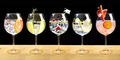Banner de la categoría Botanicos para Gin 