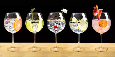 Banner de la categoría Botanicos para Gin 