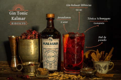 Kalmar Gin Hibiscus 500 cc en internet