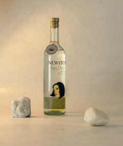 Newitch Dry Gin 750 cc en internet