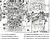 Manual Trator Massey Ferguson Linha 200 299 serie 200 - comprar online