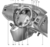 Manual de istruçoes hyundai tucson 2009 - comprar online