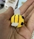 Abelhinha mini pompom decorativa - 2,5 cm na internet