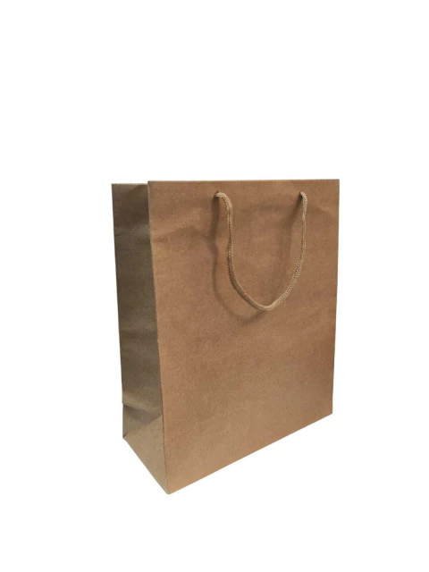 Sacola De Papel Kraft Pardo 25x22x10cm Com Alça De Cordão - comprar online