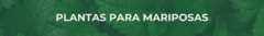Banner de la categoría Plantas para mariposas