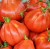 Semillas de Tomates liguria