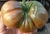 Semillas de tomate negro de santiago de compostela cosecha 2025