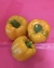 Pimiento Amarillo Dulce
