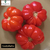Mix de semillas de tomates de cosecha de la huerta 2025 - comprar online