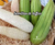 Semillas de luffa (esponja vegetal) en internet