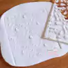 TEXTURA DINO FOSIL 2