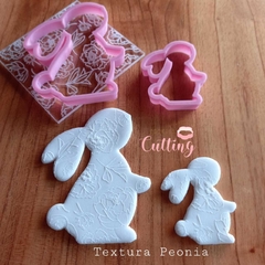 TEXTURA PEONIA