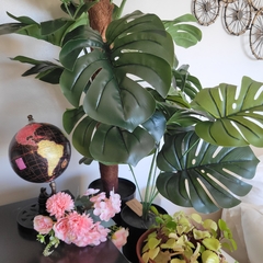 Planta Costilla de Adam 90cm