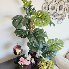 Planta Costilla de Adam 90cm - comprar online