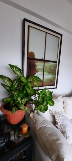 Cuadro Mi Ventana- 72x102x06 - tienda online