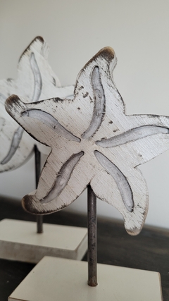 Dúo de Estrellas de Mar 20/23 cm - comprar online