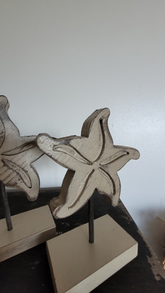 Dúo de Estrellas de Mar 20/23 cm - ADRIANA MENDEZ HOME