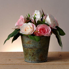 Rosas rosas