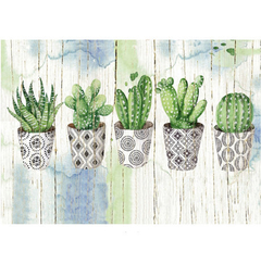 Par de individuales de mesa Cactus - comprar online