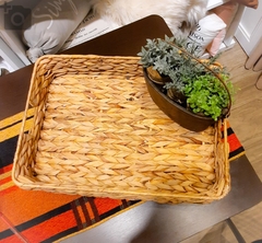 Bandeja de Jacinto 45x35