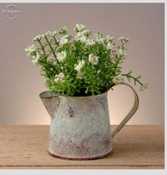 Flores en regadera 16cm