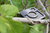Pack Pendrive " CAMARITA " - Personalizado - comprar online