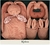 Meu Primeiro Kit Kaloo - Terracota - comprar online