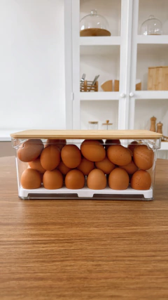 PORTA OVOS CONTAINER - 36 OVOS na internet