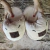 pantuflas capibara - tienda online
