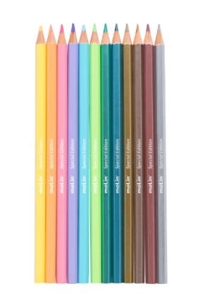 LAPIS DE COR PASTEL E METALICO CX C/12 CORES MOLIN 13025