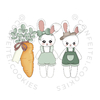 kit casal coelhos