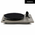 toca disco rega rp1 titanium