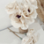 Flores Difusoras