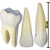 Conjunto Macro Dentões