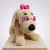 Fantoche Cachorrinha Frufru de Luxo com Macro Arcada