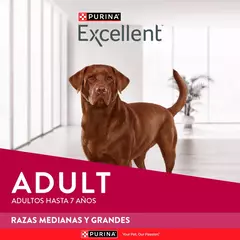 EXCELLENT DOG ADULT MED/LGE CHICKEN & RICE - comprar online