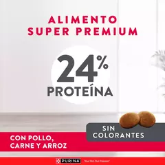 EXCELLENT DOG ADULT MED/LGE CHICKEN & RICE en internet