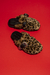 TUFLAS FLORA Jaguar - comprar online