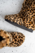 BOTUFLAS Jaguar en internet