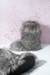 BOTUFLAS Meeko - tienda online