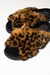 BETUFLAS Jaguar - MARÍA BETTAGLIA