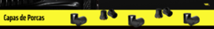 Banner da categoria CAPA DE PORCAS