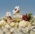 Daisy Multi Fragrance 4-Piece Holiday Gift Set - Thati Beauty