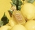 Capri in a Bottle Lemon Sugar | 14 Eau de Parfum Kayali na internet