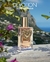 Devotion Dolce & Gabbana EDP - 100ml - comprar online