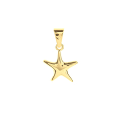 Dije Estrella De Mar Con Reasa. Chapa De Oro 22K