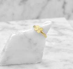 Anillo Mariposa. Oro 10k en internet